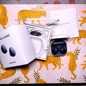 Samsung Galaxy Buds2